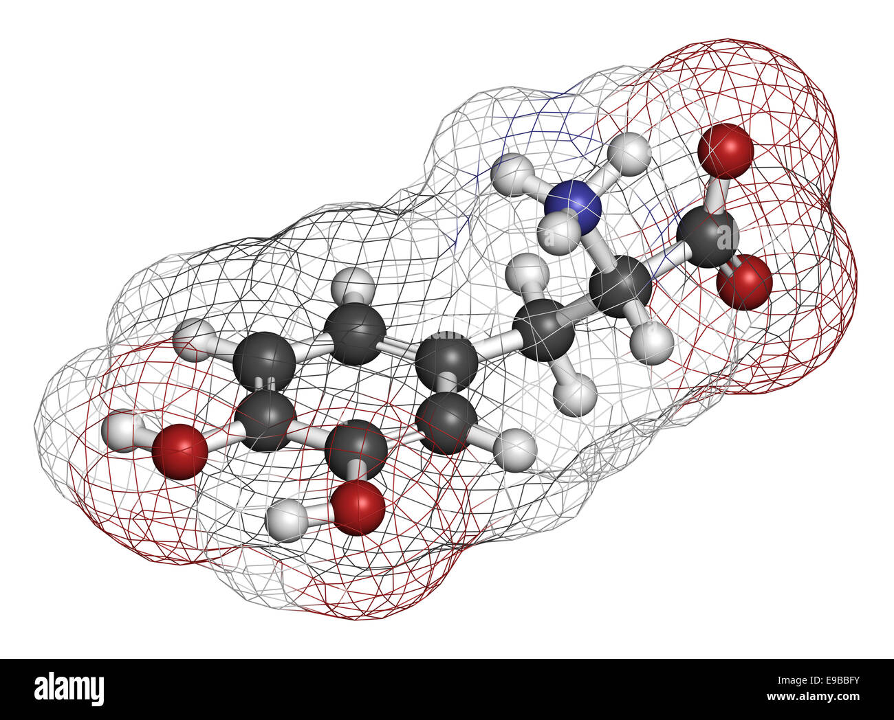 L-DOPA (levodopa) Parkinson's disease drug molecule. Atoms are represented as spheres with conventional color coding: hydrogen ( Stock Photo