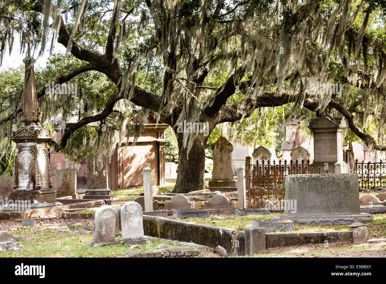 Tombstones in historic Magnolia Cemetery in Charleston, South Carolina