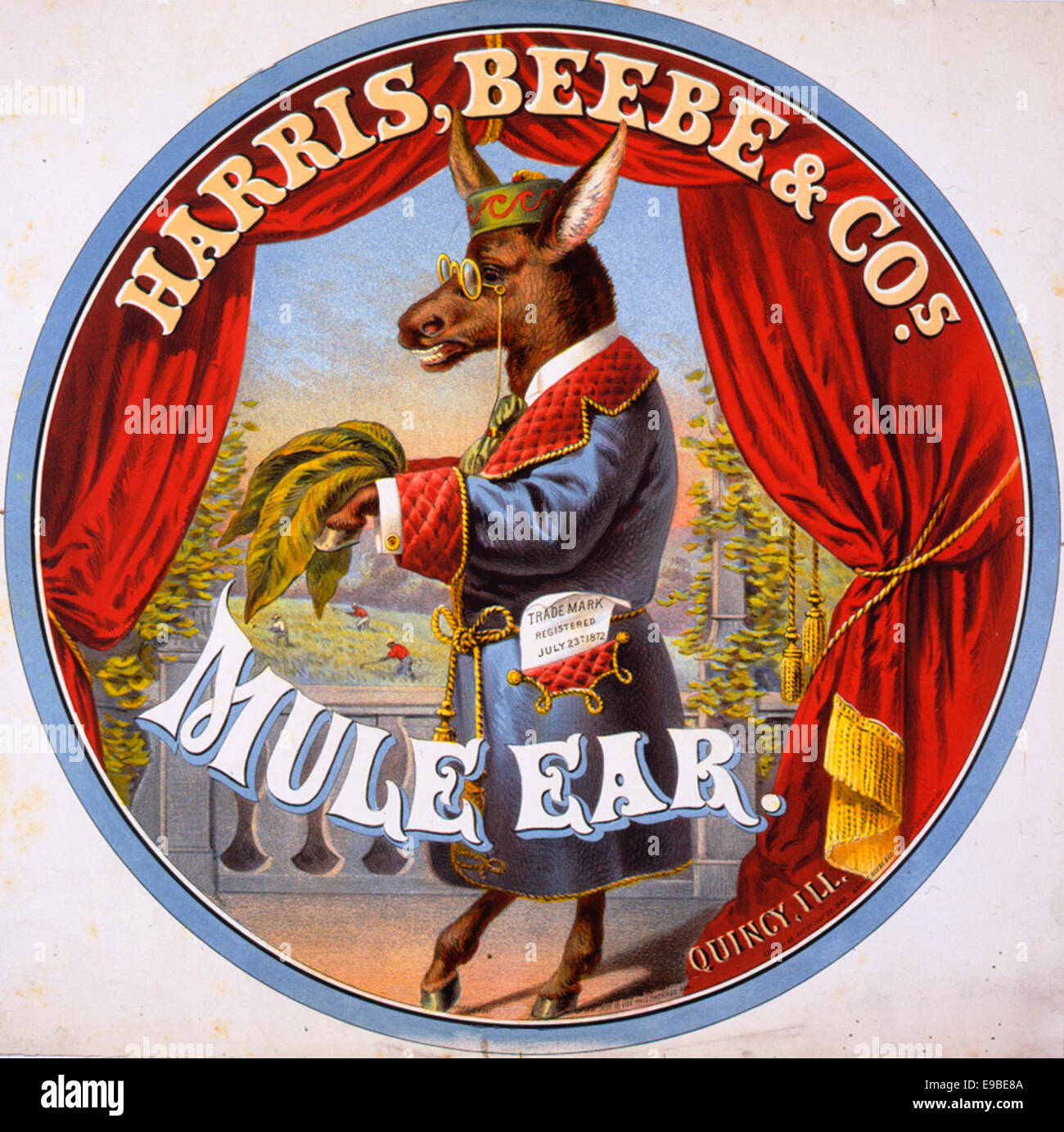 Mule Ear - Tobacco label showing full-length portrait of a mule standing on hind legs, wearing robe and glasses, and carrying tobacco leaves. 1868 Stock Photo