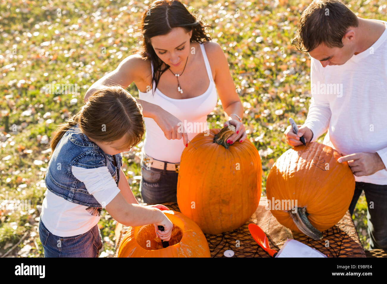 Carving big orange pumpkins for Halloween in late Autumn Stock Photo ...