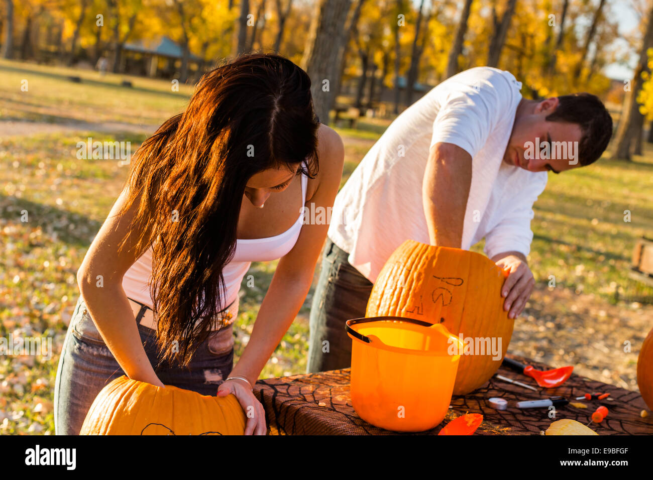 Carving big orange pumpkins for Halloween in late Autumn Stock Photo ...