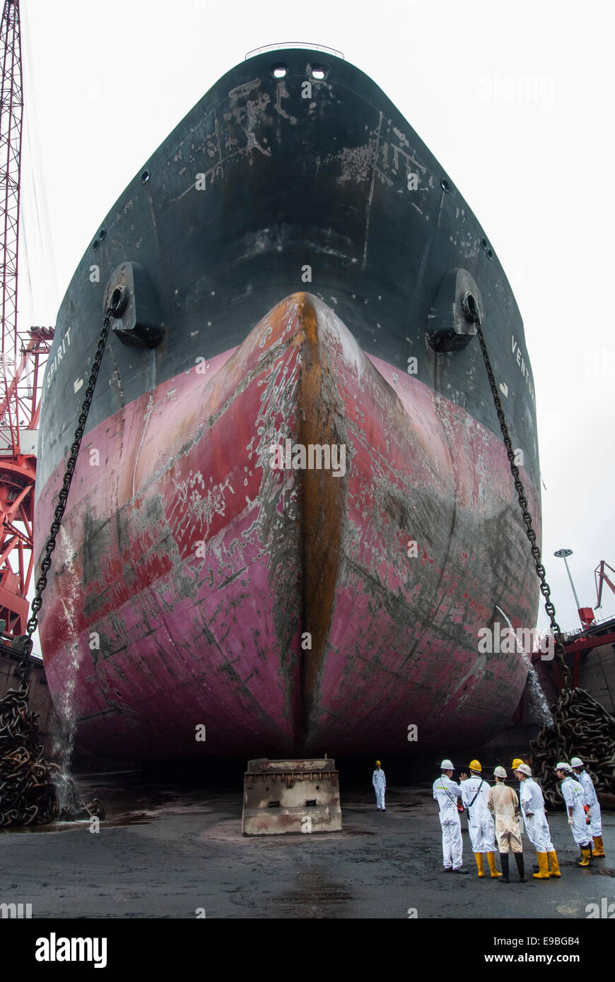China, Shekou, 31 March till 6th April 2008 Bulk carrier Venture Spirit in dock for first 5 year service. Stock Photo