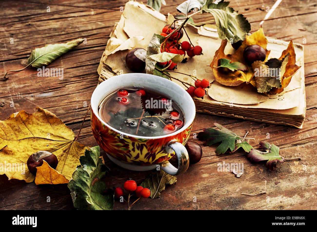 Cup warming autumn tea in cold weather Stock Photo - Alamy
