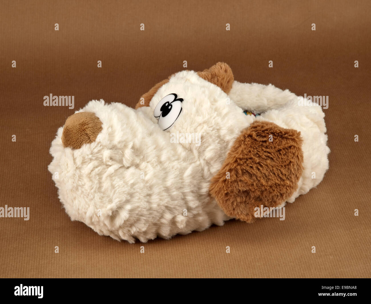 Women's dog slipper Stock Photo