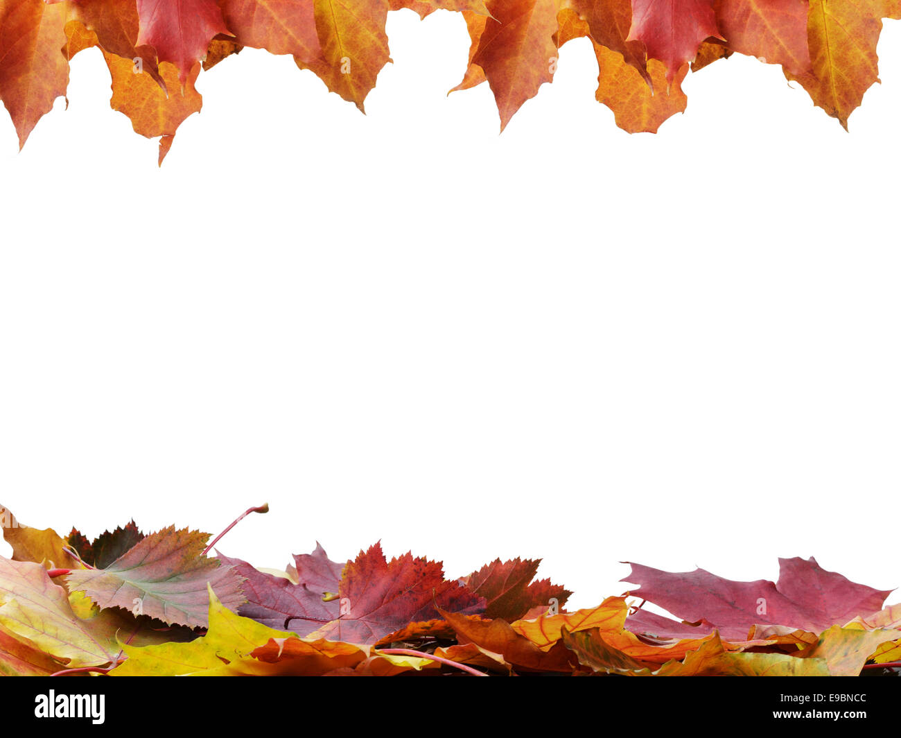 autumn leaves frame, isolated on white background Stock Photo - Alamy