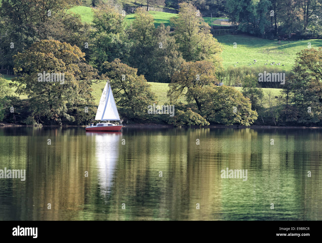 Yacht reflecting on Coniston Water in the Lake District National Park, Cumbri Stock Photo