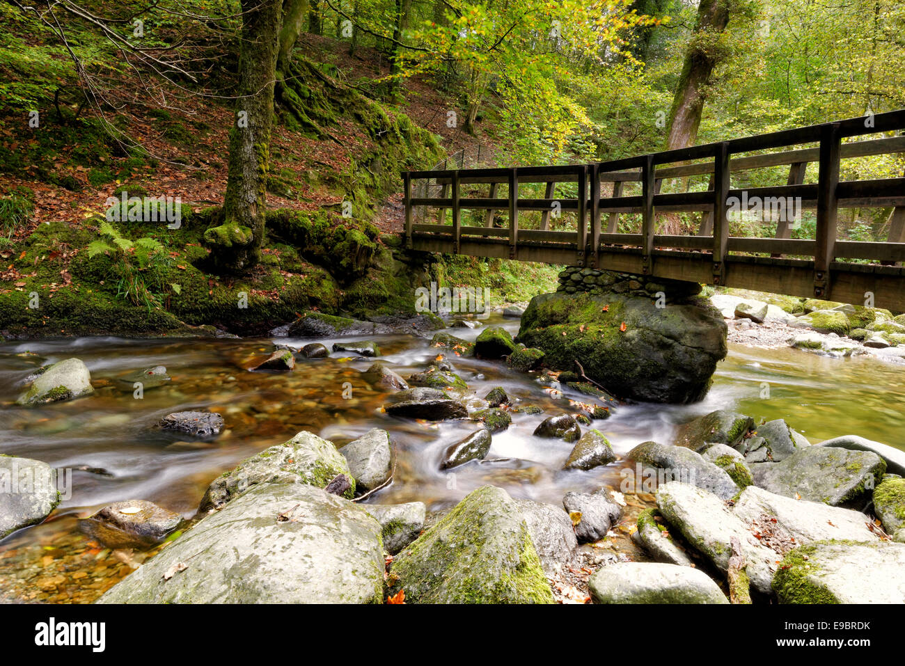 Wooden bridge over Stock Ghyll Force near Ambleside in the Lake District National Park Stock Photo