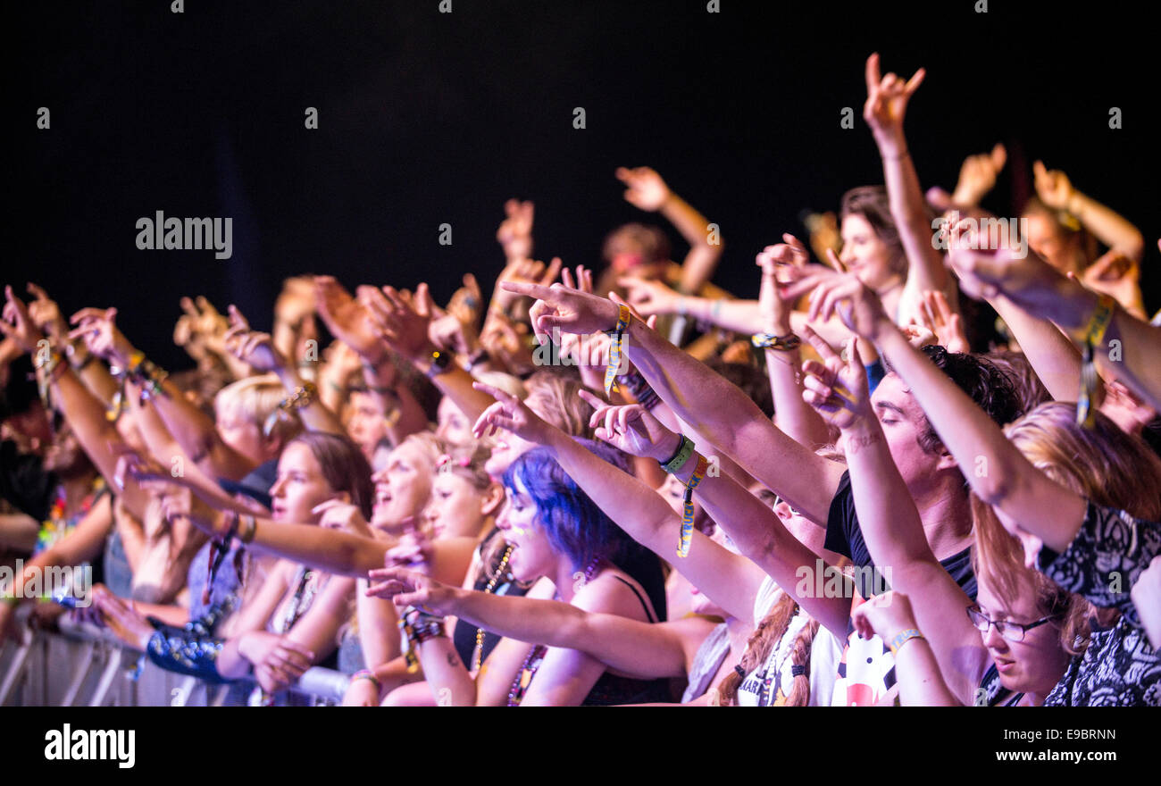 Crowd at rock concert Stock Photo Alamy