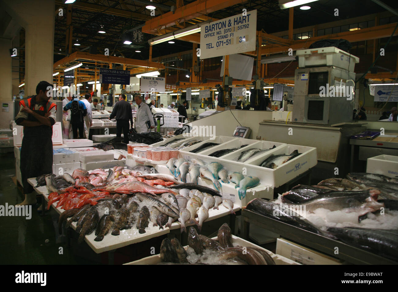 Billingsgate fish market hires stock photography and images Alamy