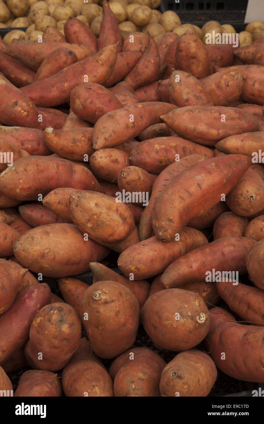 Yellow yams hi-res stock photography and images - Alamy