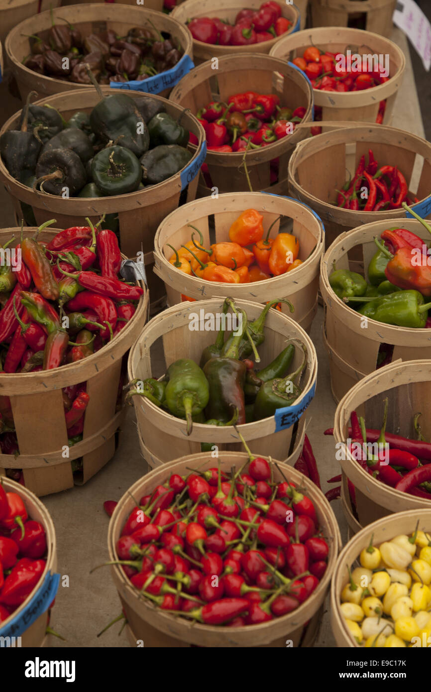 A variety of of spicy & hot peppers for sale at the farmers market at