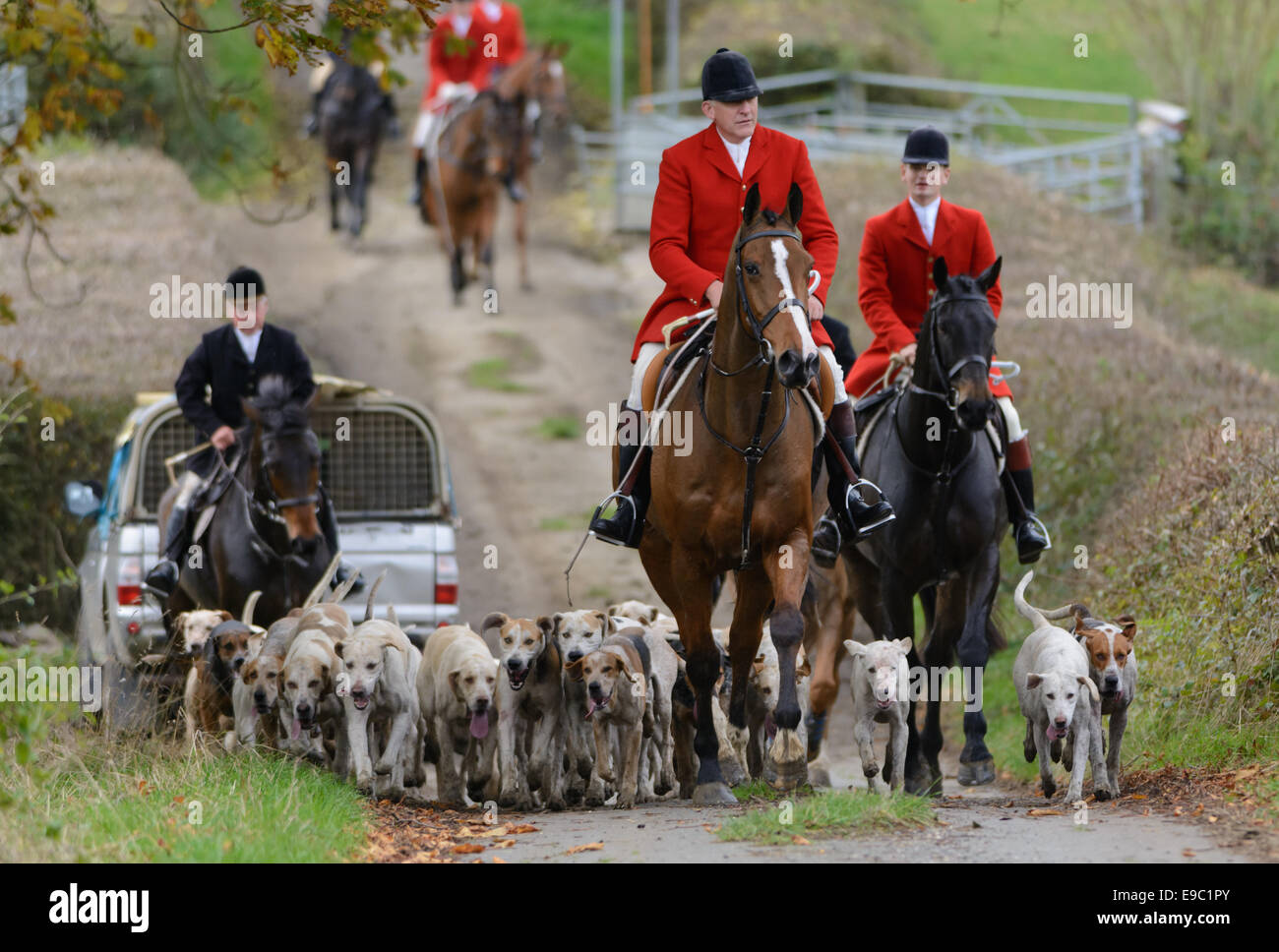 Leicestershire, UK. 24th October, 2014. Huntsman Peter Collins and the Quorn fox hounds -The start of the fox hunting season - Quorn Hunt Opening Meet at The Kennels. Credit:  Nico Morgan/Alamy Live News Stock Photo
