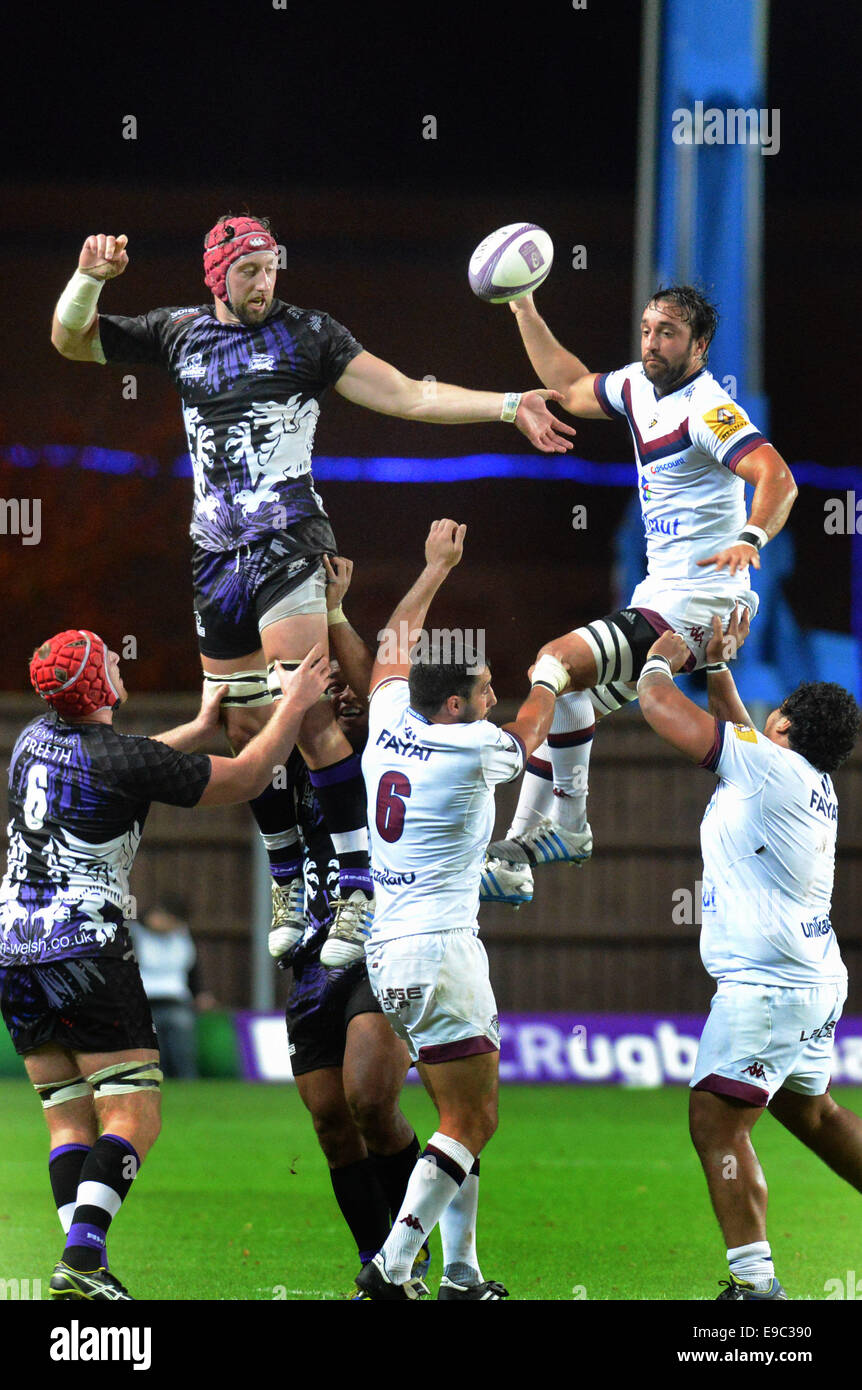 Peter browne rugby High Resolution Stock Photography and Images - Alamy