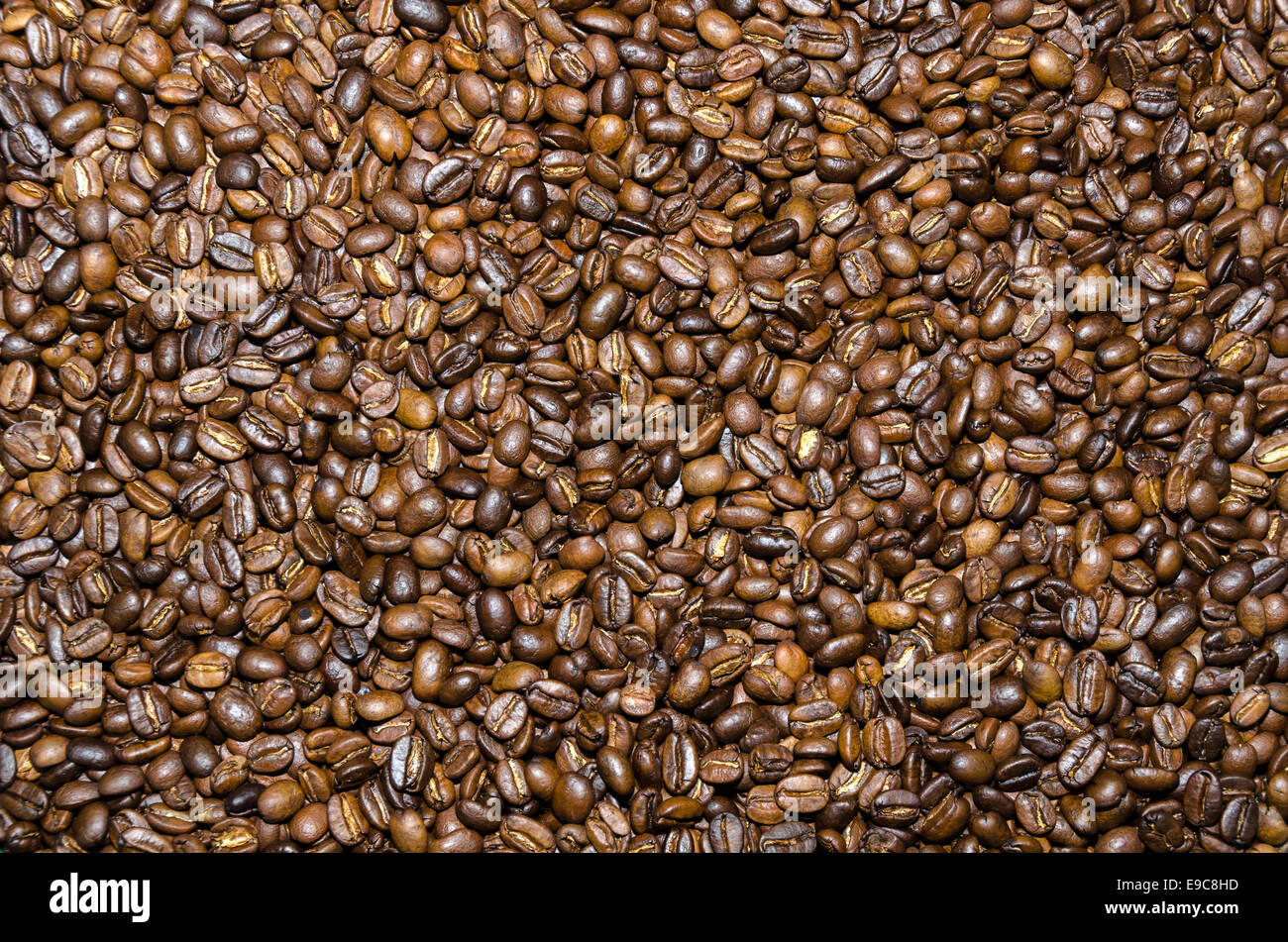 roasted coffee beans in Vancouver, Canada Stock Photo Alamy