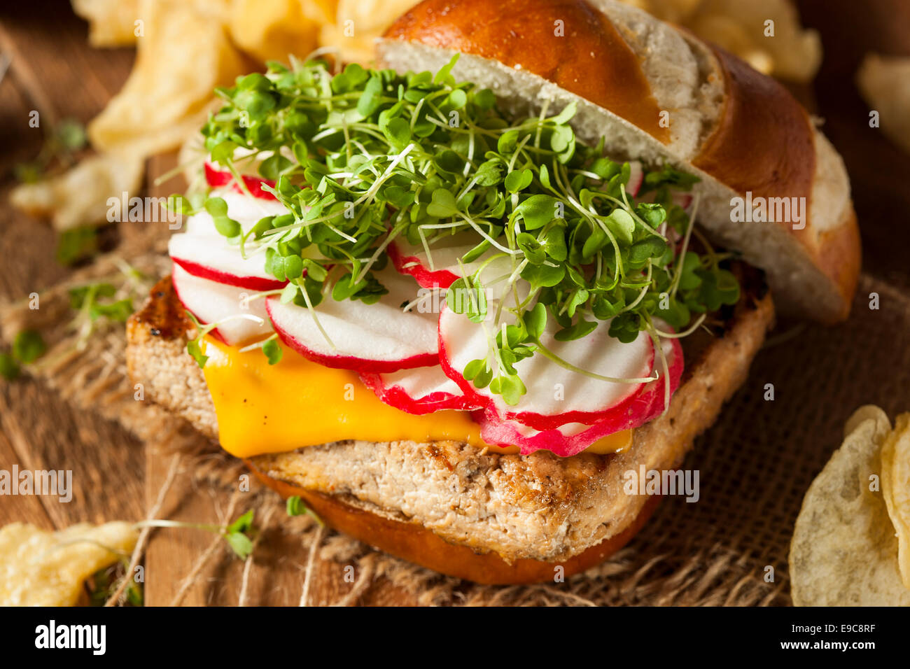 Homemade Vegetarian Soy Tofu Burger with Chips Stock Photo
