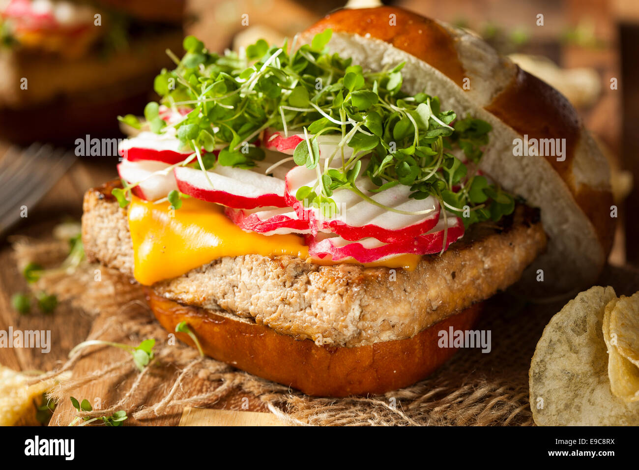 Homemade Vegetarian Soy Tofu Burger with Chips Stock Photo