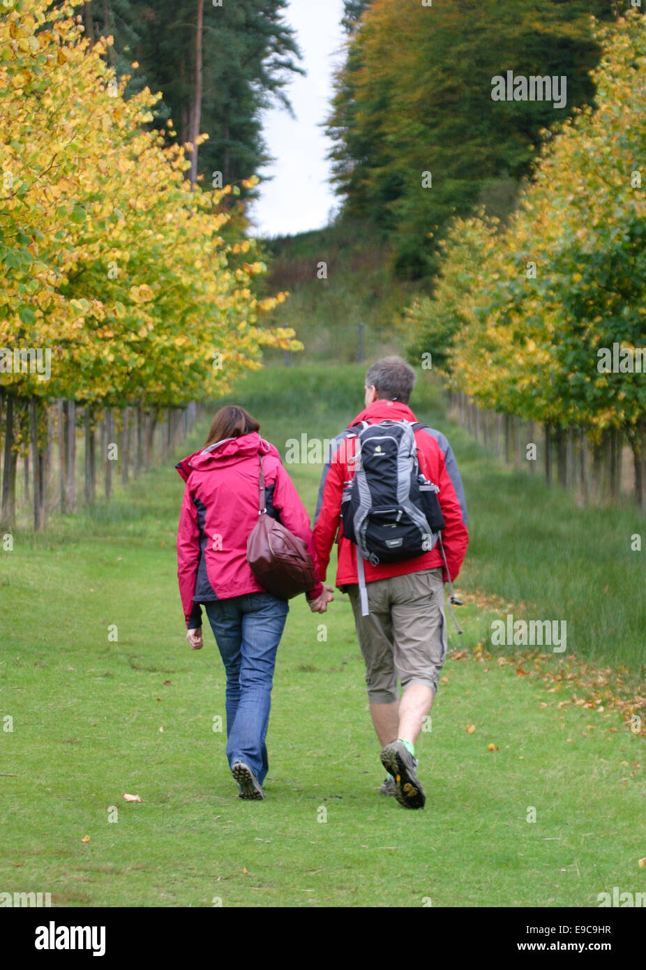 Middle aged couple walking holding hands in the countryside Stock Photo