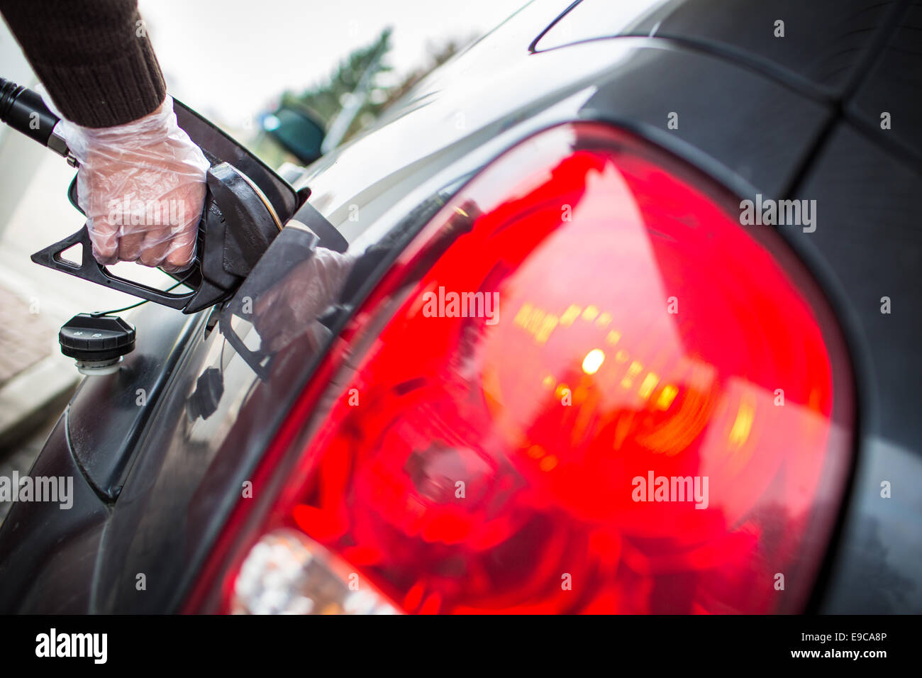 car-fueling-at-the-gas-station-stock-photo-alamy