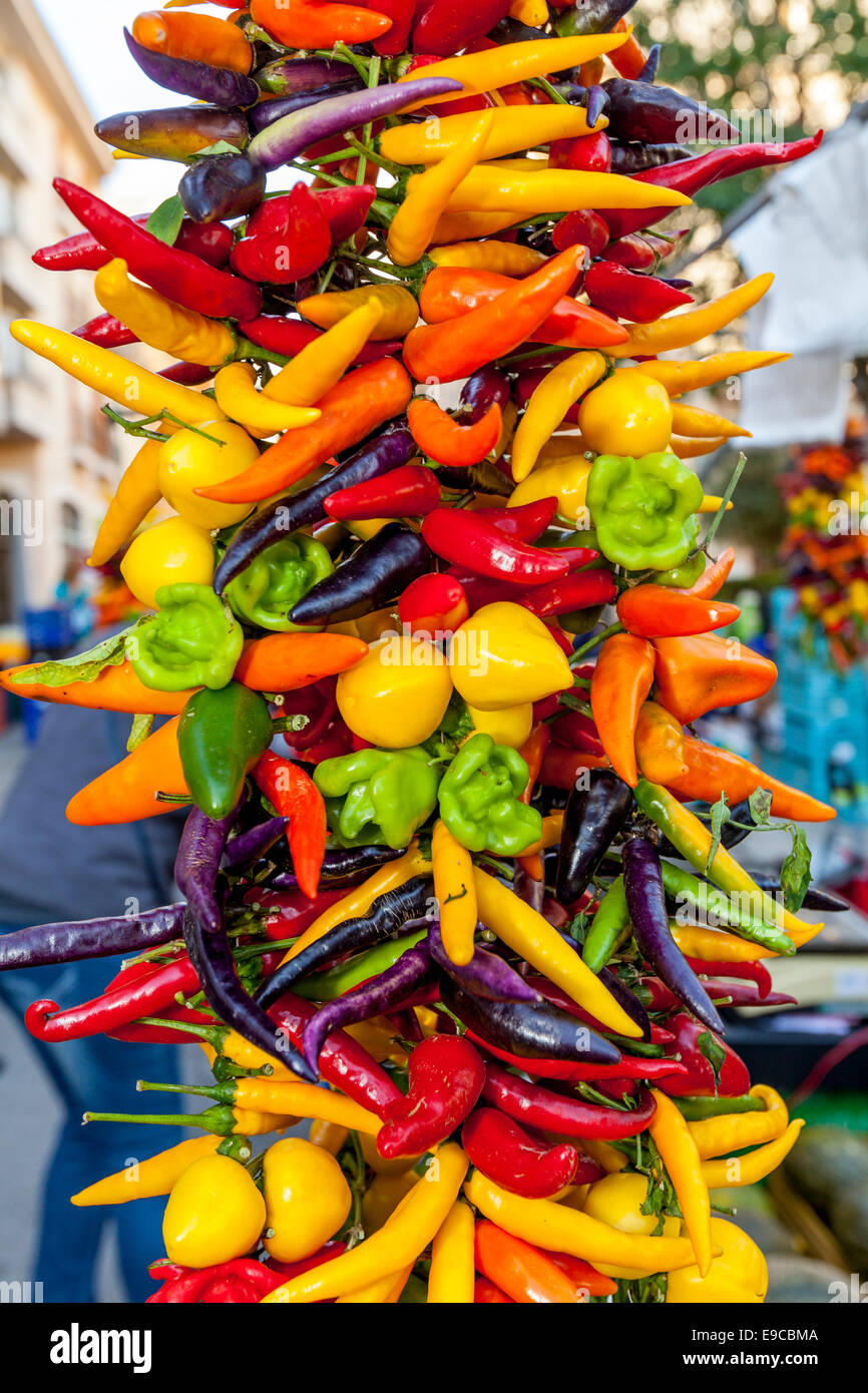 Colourful Chilis For Sale At The Thursday Market In Inca, Mallorca - Spain Stock Photo