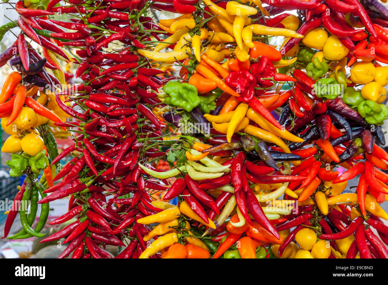 Colourful Chilis For Sale At The Thursday Market In Inca, Mallorca - Spain Stock Photo