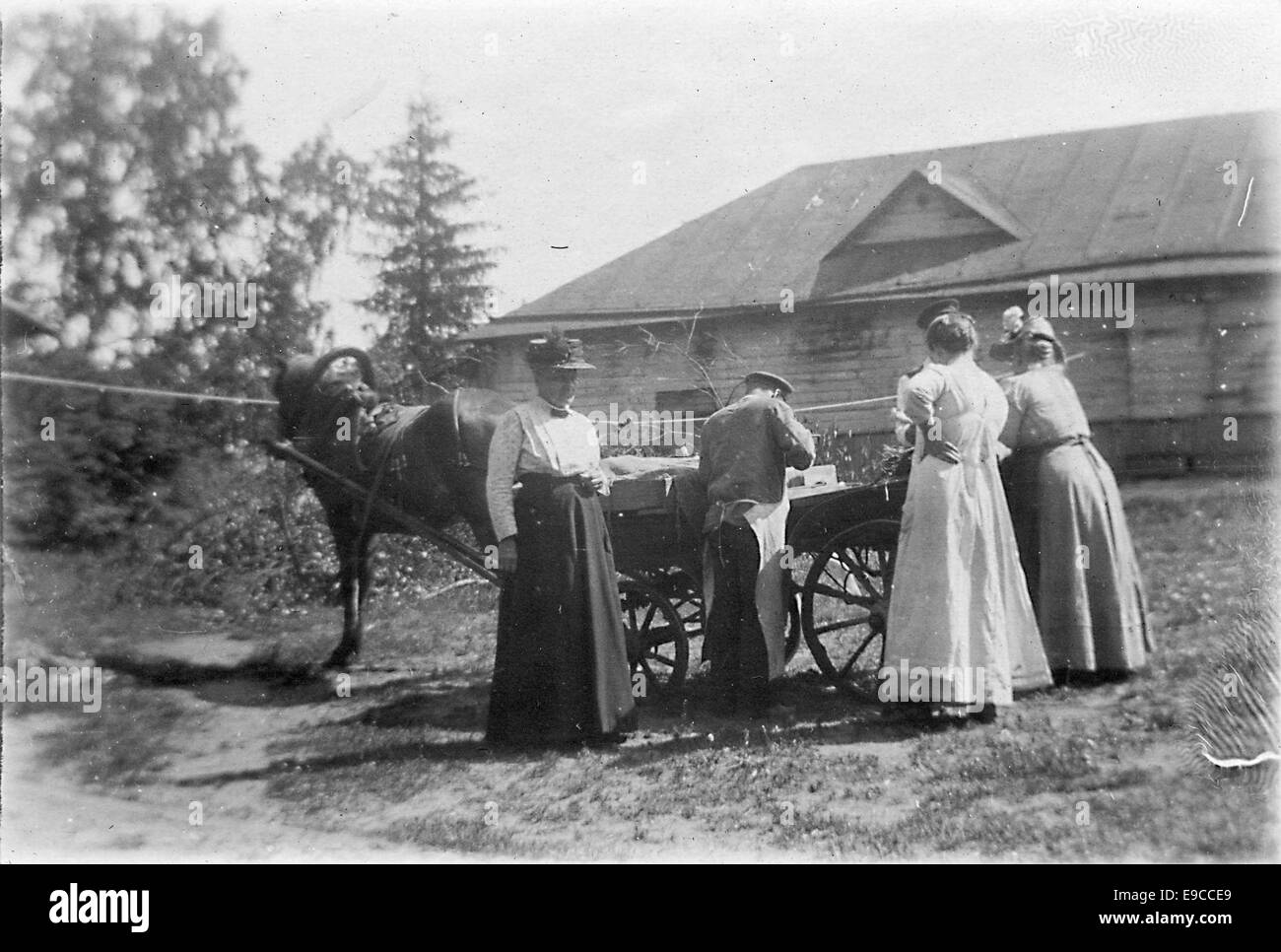 Traveling salesman with his horse Stock Photo Alamy