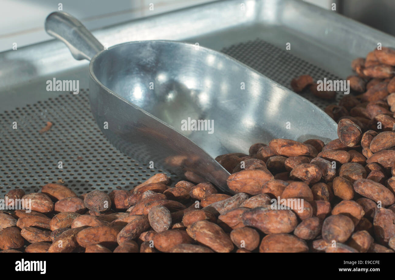 Cocoa beans in fabric Stock Photo