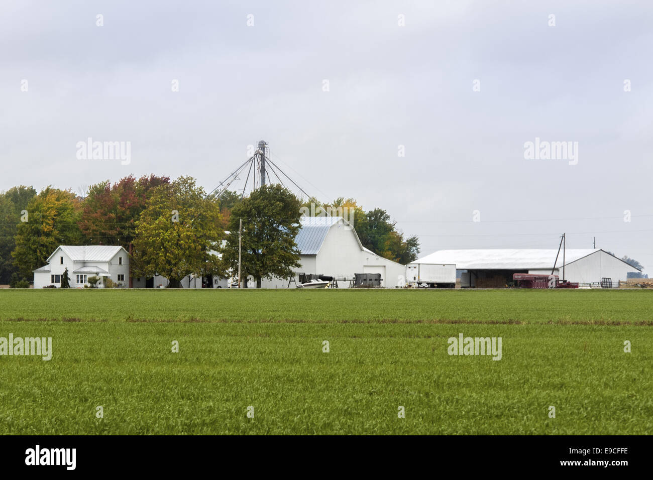 Farm house and barns in Northwest Ohio Stock Photo Alamy