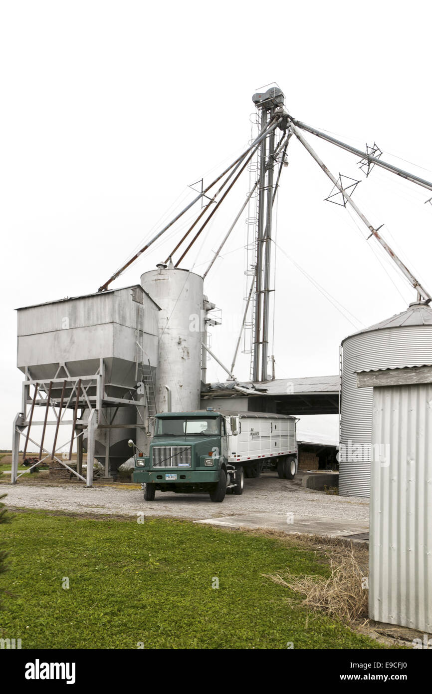 Grain auger, bins and leg at a farm Stock Photo Alamy