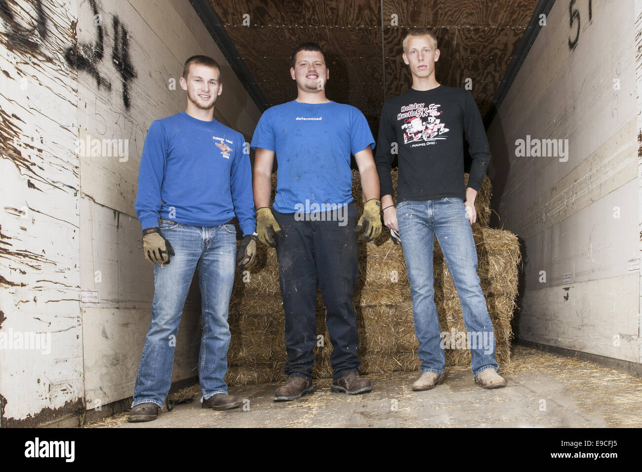 Three teenage boys working loading a semi trailer. Stock Photo
