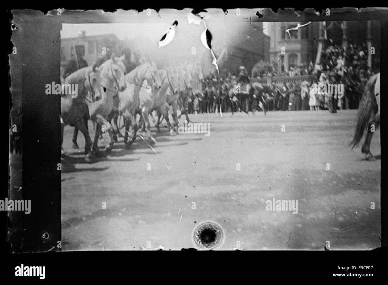 War Procession This photograph captures the Decoration Day procession in San Francisco ...