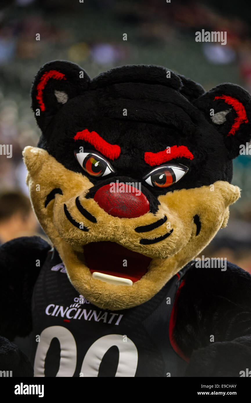 The Cincinnati Bearcat at the game between Cincinnati Bearcats and South Florida Bulls at Paul