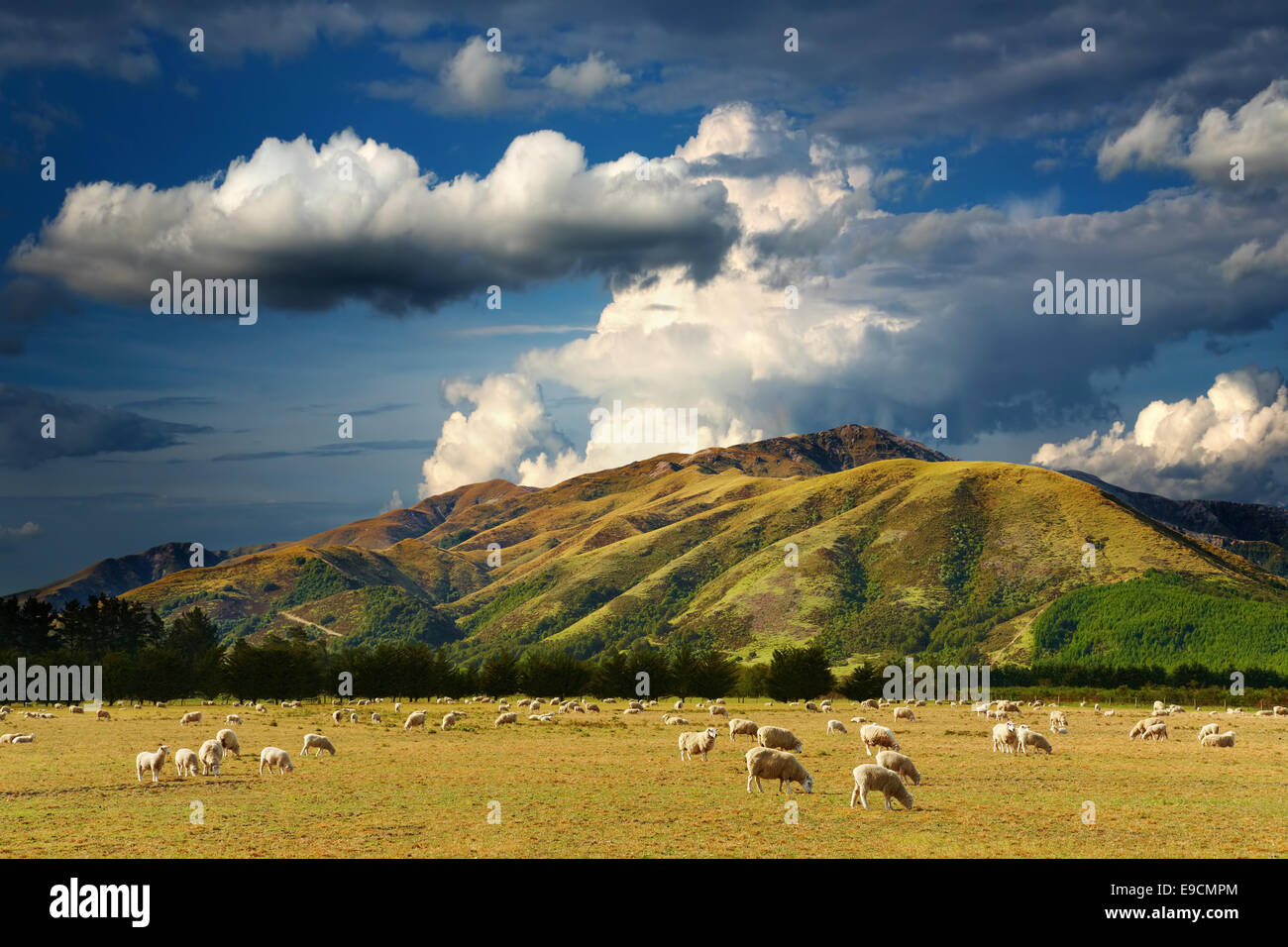 Mountain landscape with grazing sheep and cloudy sky Stock Photo - Alamy