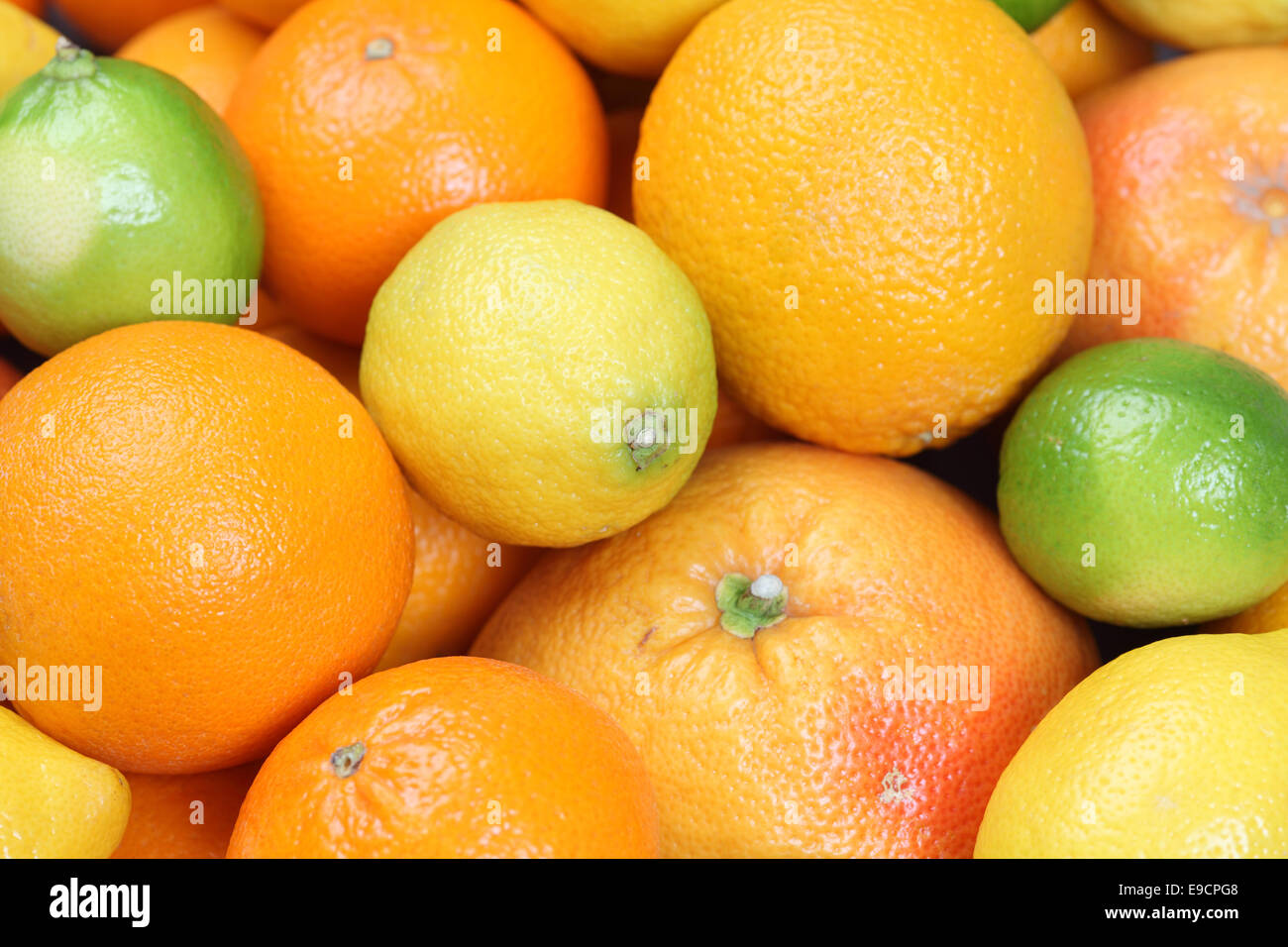 Lemon, orange, lime, tangerine and grapefruit background Stock Photo ...