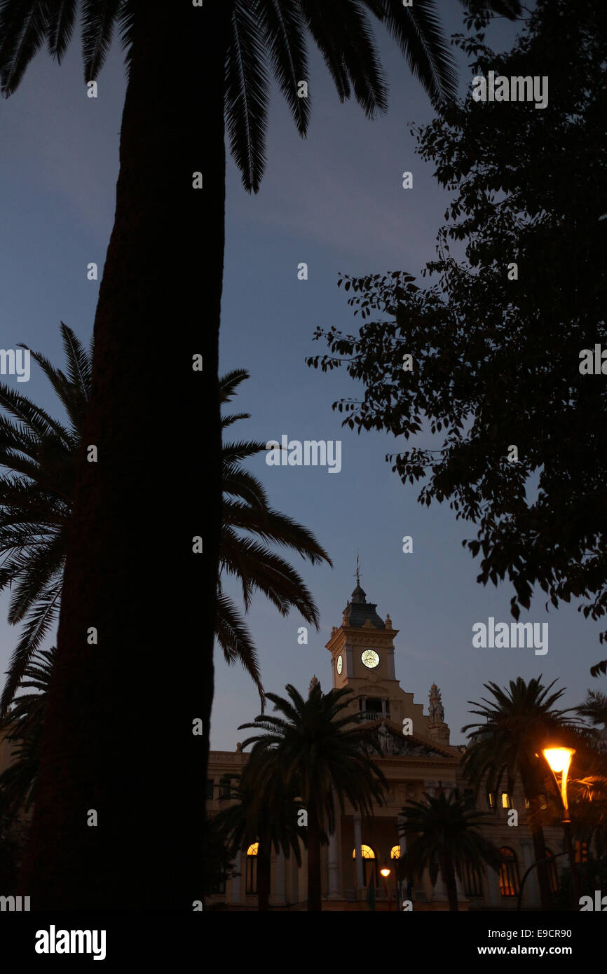 Malaga city council building and silhouette of palm trees at night