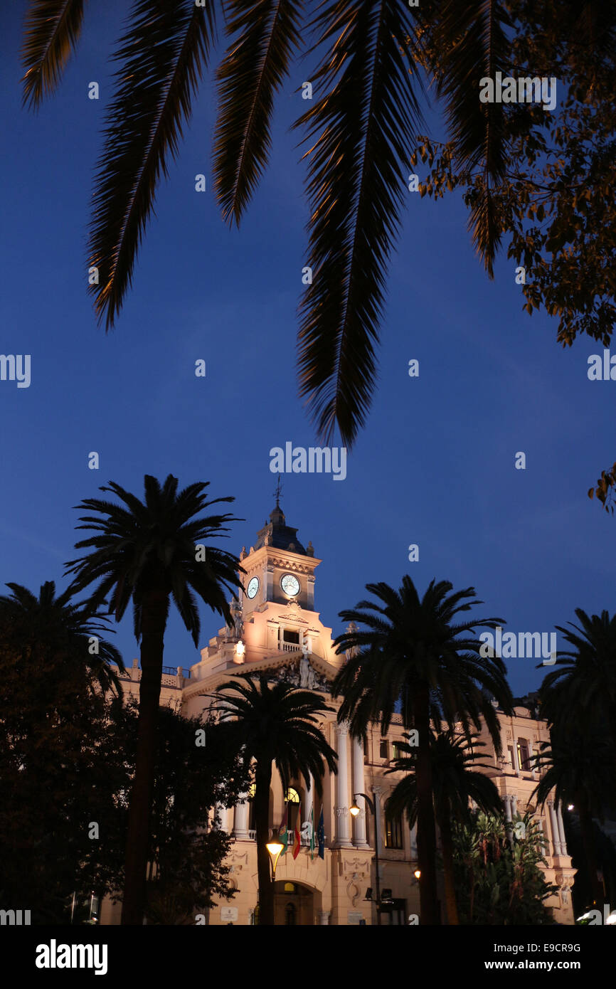 Malaga city council building and silhouette of palm trees at night