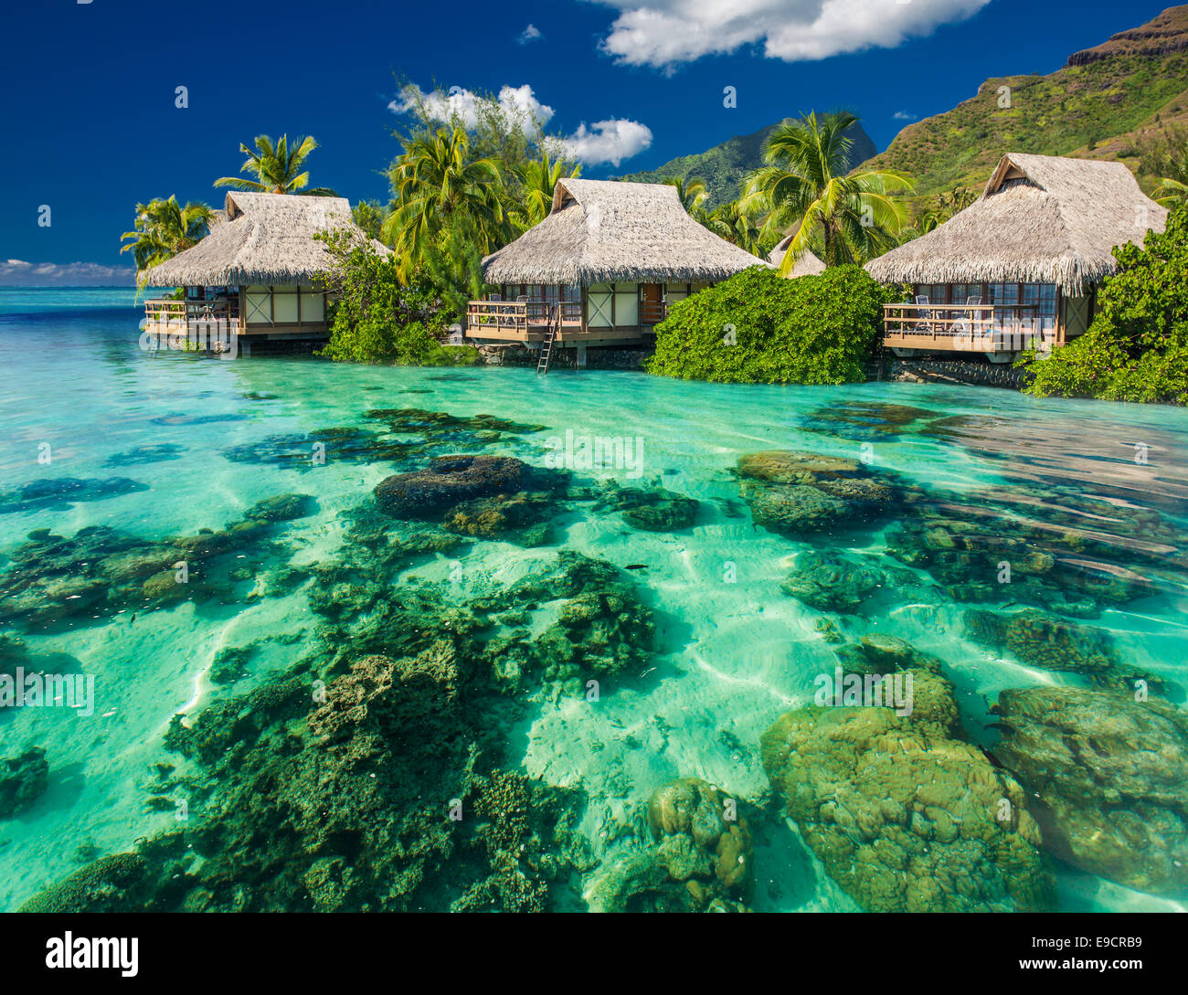 Beautiful above and underwater coral landscape of a tropical resort Stock Photo