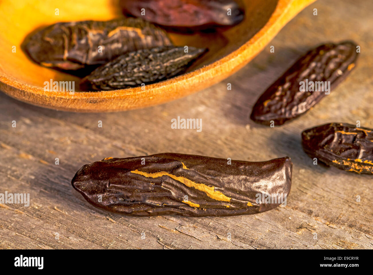 Tonka beans african spice hires stock photography and images Alamy