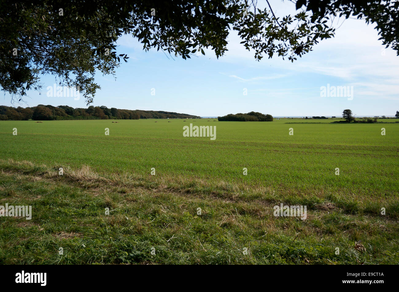 View from The Ilex of Goring Gap farmland Goring by Sea Ferring West