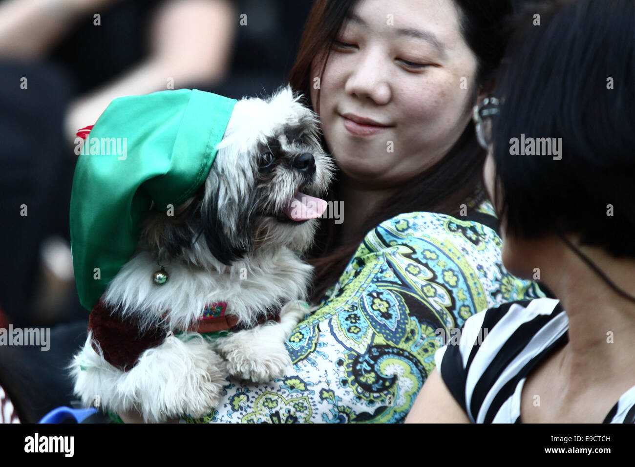 A dog dressed as Robin Hood attends a pet costume competition in  celebration of Halloween in Quezon City, the Philippines, Oct. 25, 2014.  More than 100 pet dogs and cats joined in