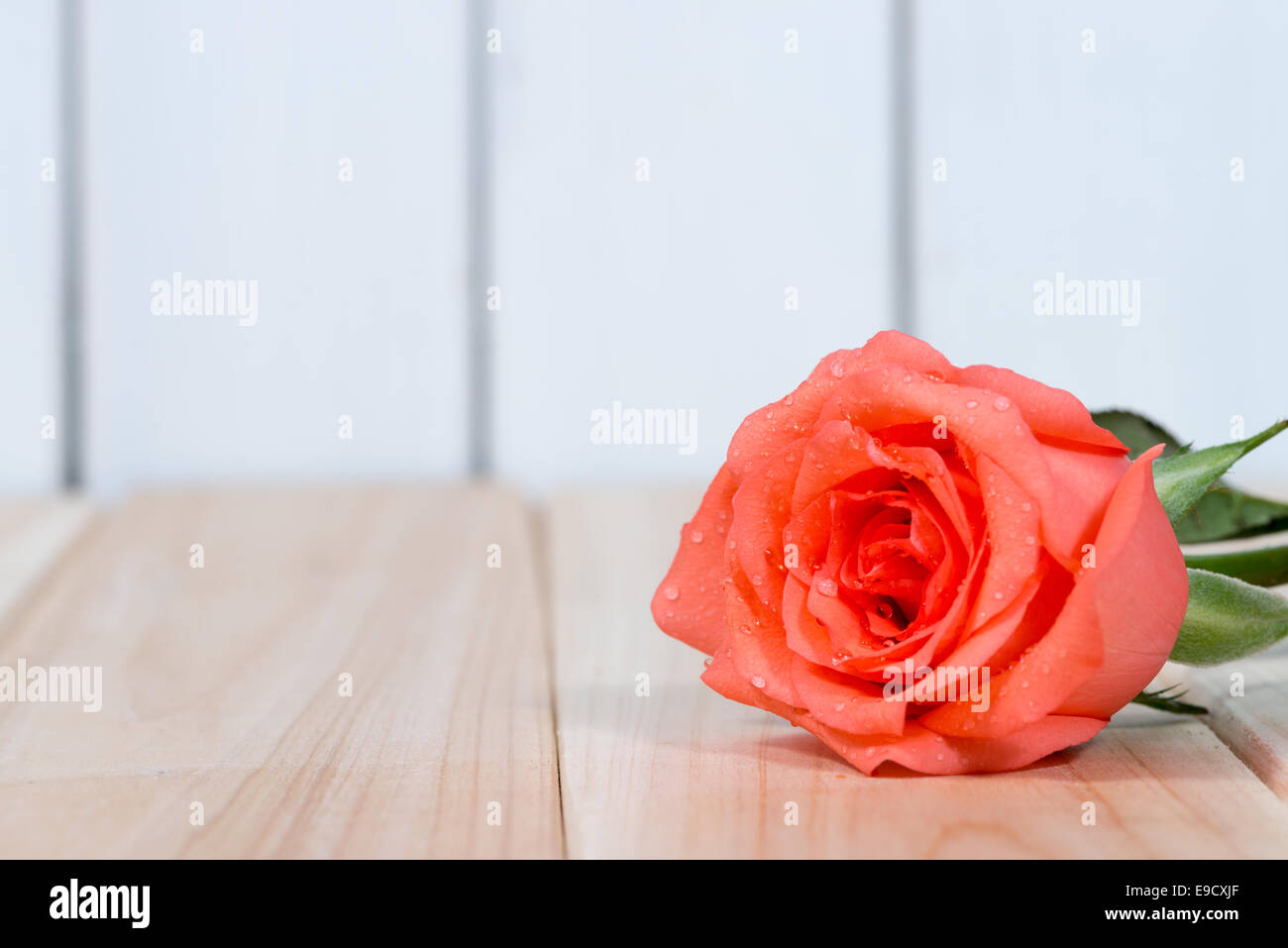 the red roses on wooden background Stock Photo - Alamy