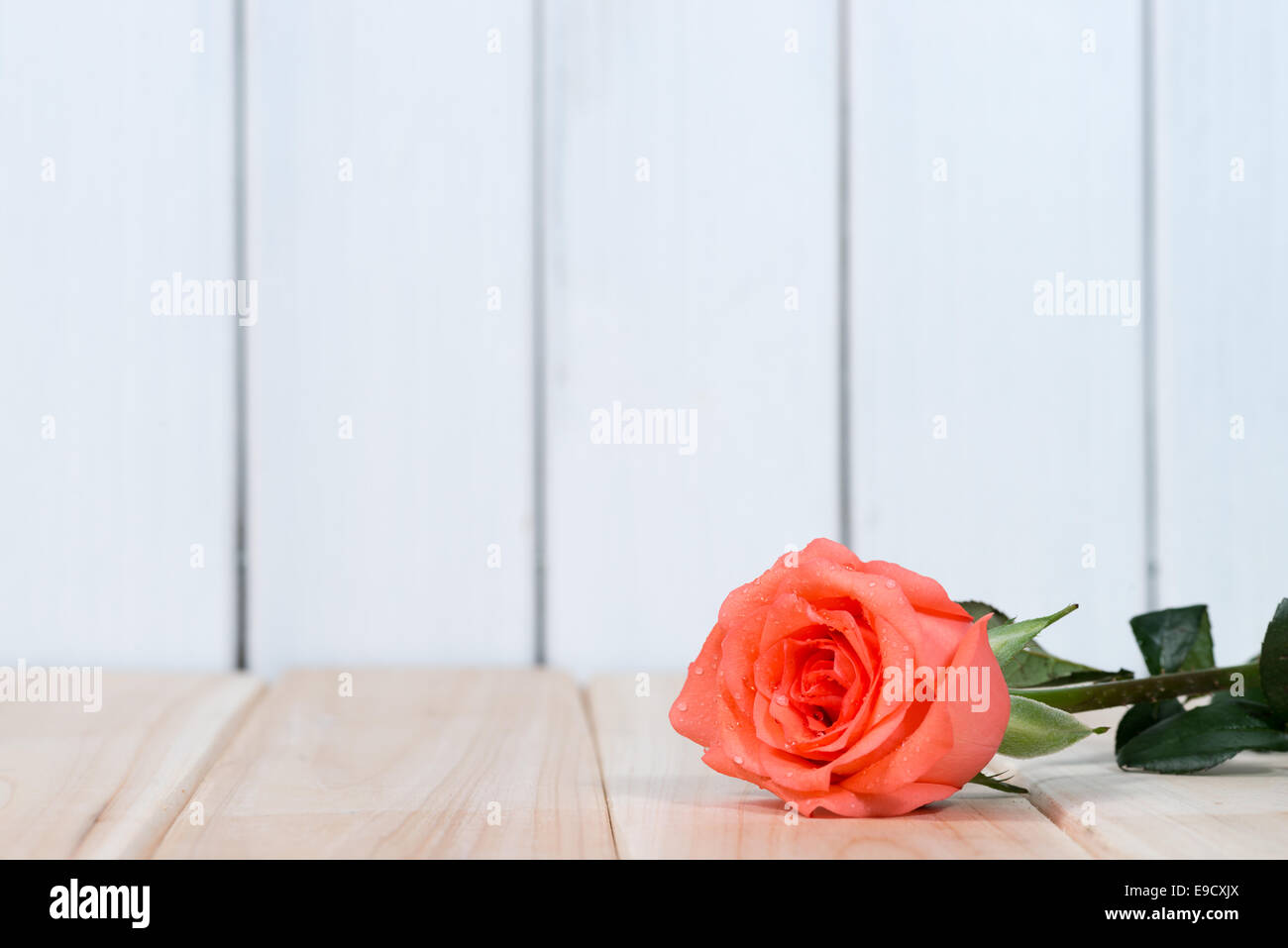 the red roses on wooden background Stock Photo - Alamy