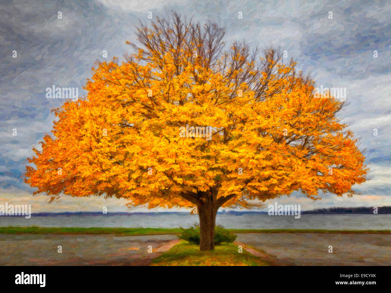 Beautiful linden tree in full fall coloration along a Prince Edward Island waterfront. Rendered as a digital oil painting. Stock Photo
