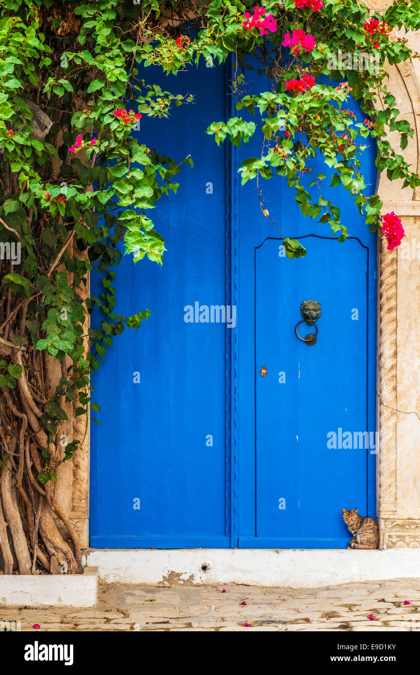 A cat sits on the doorstep by a typical blue front door in Sidi Bou Said, Tunisia. Stock Photo