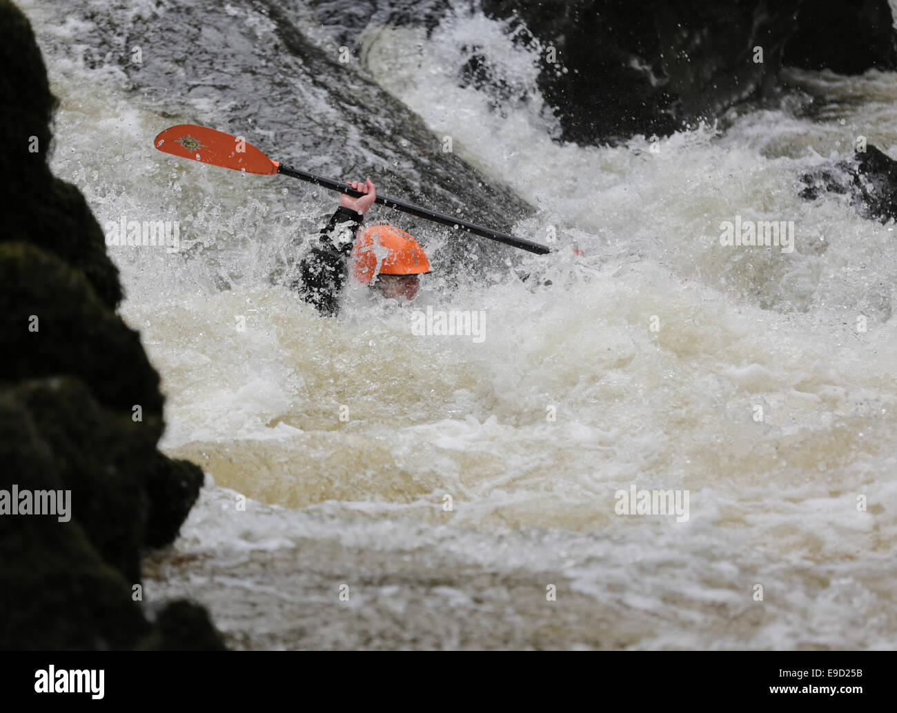 Llandysul, Wales, UK. 25th Oct, 2014. Hundreds of paddlers gather at Llandysul to enjoy the annual two day Teifi Tour, The Tour comprises six stages along the Teifi River, from Llanfihangel yr Arth, down to Poppit Sands, offering kayakers stretches of white water which suit many levels of ability. Credit:  atgof.co/Alamy Live News Stock Photo