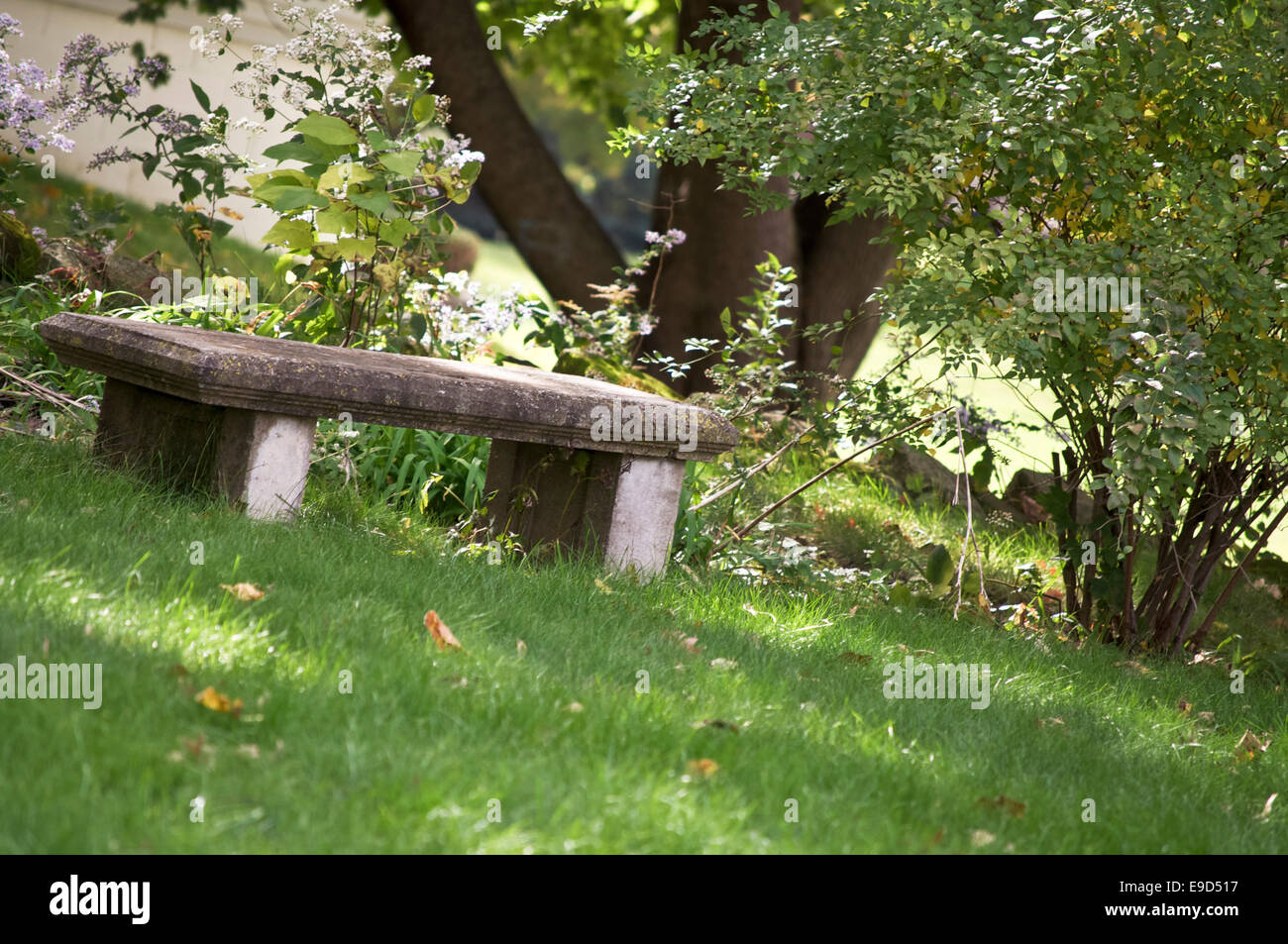 Solitary stone park bench hidden by trees in a green grass lawn. Stock Photo