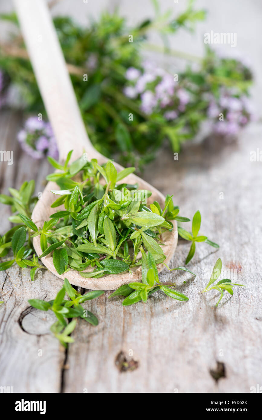 Small portion of Winter Savory (detailed close-up shot) Stock Photo