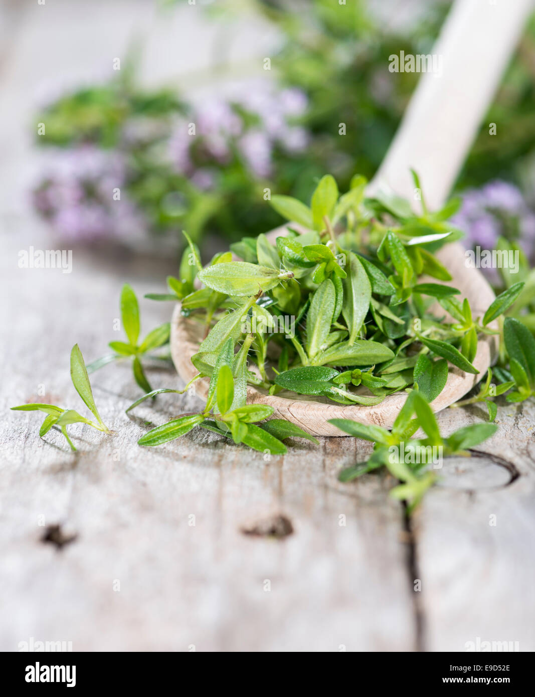Small heap of Winter Savory (detailed close-up shot) Stock Photo