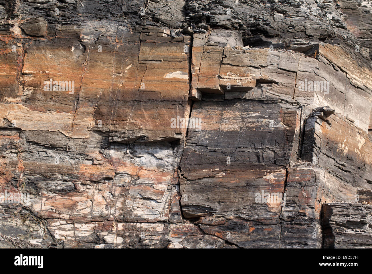 Close up of rock Cliff wall at Kimmeridge Bay, Dorset, UK Stock Photo