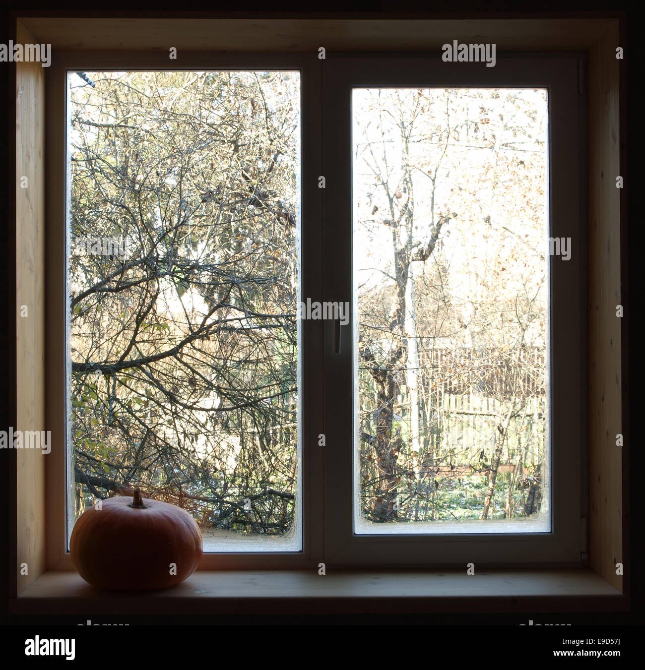 Window in a dark room with a pumpkin on the windowsill, within the fall, the first frost. Stock Photo