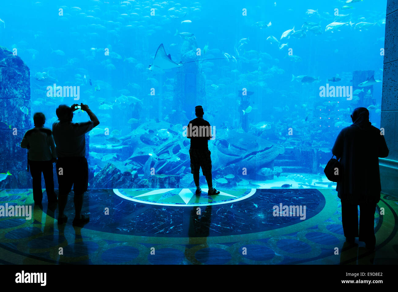 silhouettes of people against a big aquarium Stock Photo